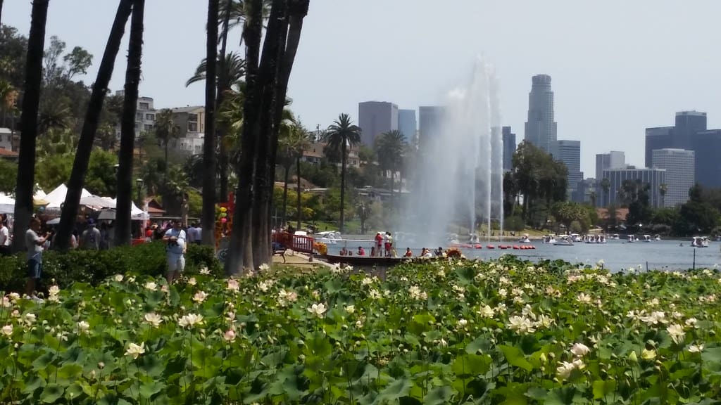 Experience the Echo Park Lotus Festival